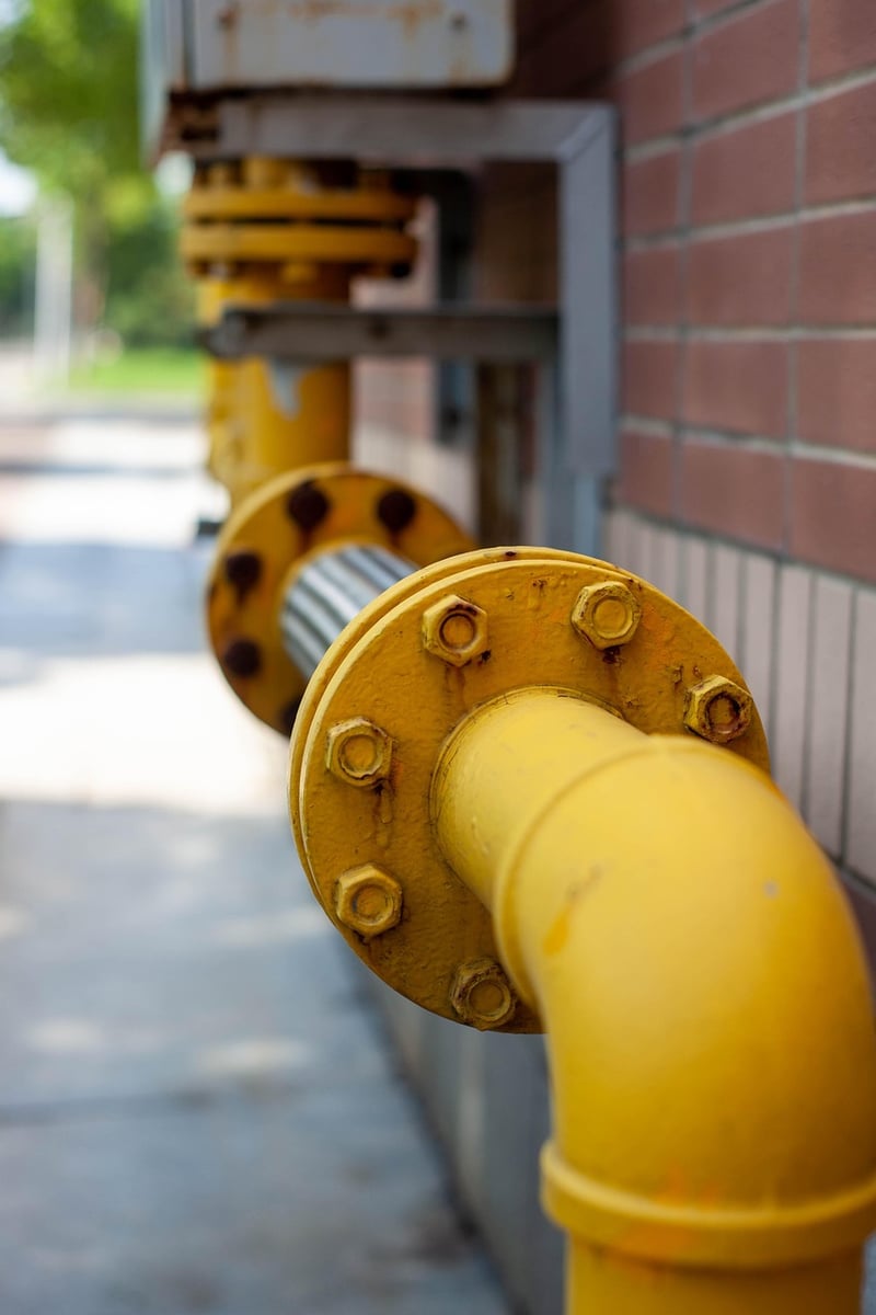 PVC Pipe Structures